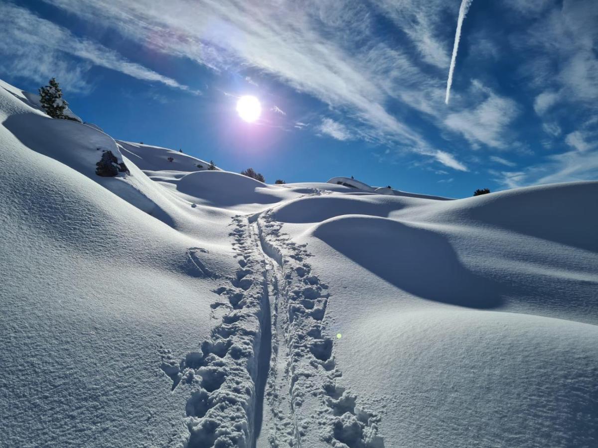 Das Ihaeusl Aschau Im Zillertal Exteriér fotografie